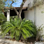 Domo Angheleda - Detached With Large Garden In A Relaxing Environment, A Few Minutes From The Sea Alghero