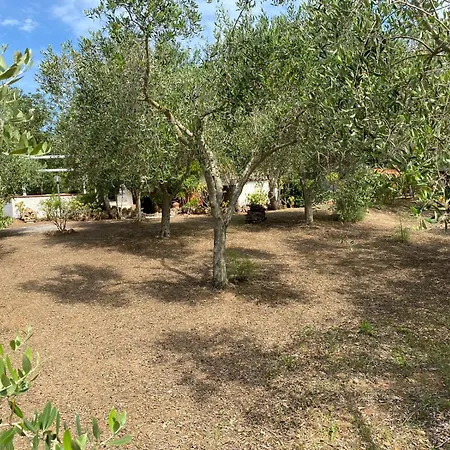 Holiday home Domo Angheleda - Casa Indipendente Vicino Al Mare