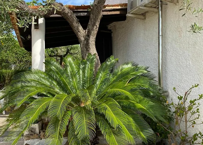 Domo Angheleda - Detached With Large Garden In A Relaxing Environment, A Few Minutes From The Sea Alghero