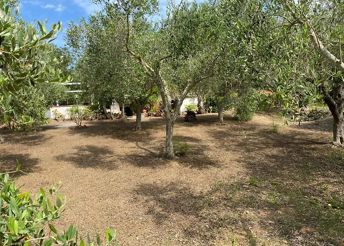 Prázdninový dům Domo Angheleda - Detached With Large Garden In A Relaxing Environment, A Few Minutes From The Sea